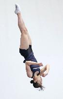 Trampoline: World champion Hikaru Mori at training