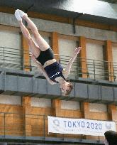 Trampoline: World champion Hikaru Mori at training