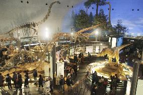 Dinosaur museum in central Japan to be renovated