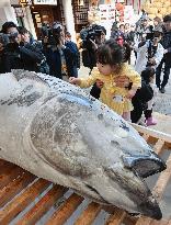 Tuna offered at western Japan shrine