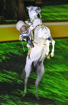 White horse in Turkmenistan