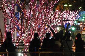 Cherry blossom illumination in Fukushima