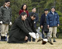 Japanese princesses at imperial wild duck preserve