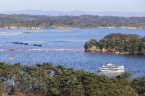 Matsushima Bay in northeastern Japan