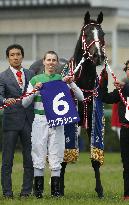 Horse racing: Arima Kinen