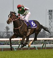 Horse racing: Arima Kinen