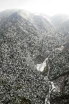 Mt. Kongo covered with season's 1st snow