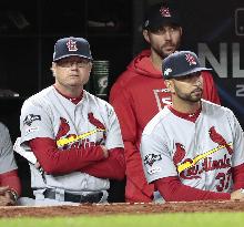 Baseball: Cardinals manager Mike Shildt