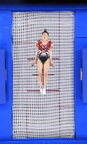 Trampoline: world championship