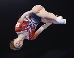 Trampoline: Newly crowned world champion Hikaru Mori