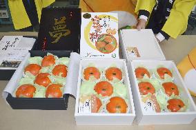 Premium persimmons in western Japan