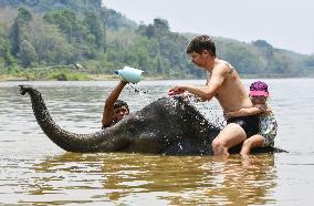 Elephant bathing in Laos