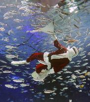 Santa Claus in Tokyo aquarium