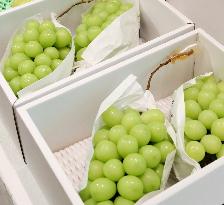 Brand-name grapes in Japan