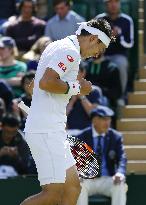 Japan's Nishikori advances to 4th round at Wimbledon