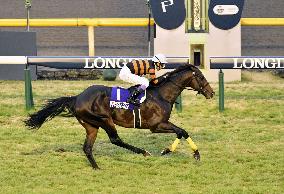 Horse racing: Kitasan Black wins Japan Cup