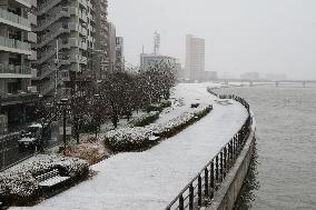 Japan archipelago braces for heavy snow at weekend