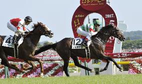 Horse racing: Lemaire, Fujisawa do it again to win Japanese Derby