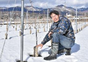 Competition heats up among Japanese wine producers
