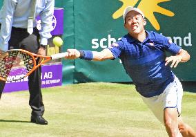 Nishikori vs Verdasco at Gerry Weber Open tennis