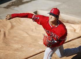 Baseball: Ohtani in bullpen session