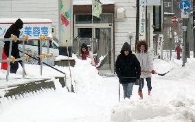 Hokkaido sees over 30 cm snowfall