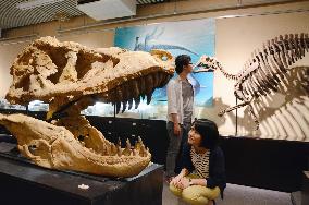Hokkaido University Museum reopens