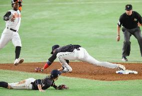 Baseball: Japan beats Netherlands in WBC 2nd-round 11-inning thriller