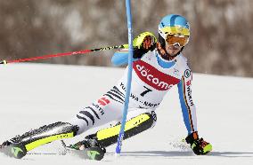 Germany's Neureuther wins World Cup alpine ski event