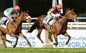 Japan's Real Steel victorious in Dubai World Cup race
