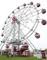 Ferris wheel installed at ballpark