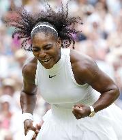 S. Williams defeats Kerber to win seventh Wimbledon title