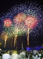 Fireworks light up sky in western Japan's Tondabayashi
