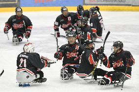 Paralympics: Japan qualifies for ice hockey in Pyeongchang