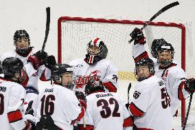 Paralympics: Japan's ice hockey team
