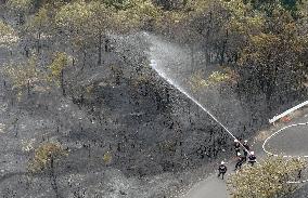 Wildfire in Ehime