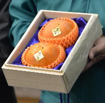 Premium persimmons in Japan