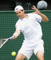 Federer vs Haas in Wimbledon semifinals