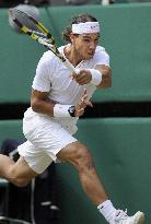 Nadal wins Wimbledon final