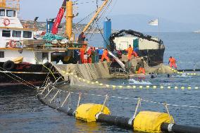 Bluefin tuna stock ravaged by overfishing by EU, Libya: WWF