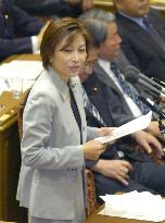 LDP rookies make debuts in Diet debate on postal bills