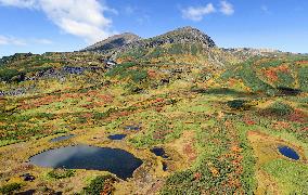 Colorful autumn leaves cover Mt. Daisetsu range in Hokkaido