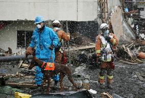 Rescue and recovery efforts