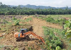 Deforestation in progress on Borneo Island for farmland development