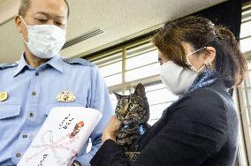 Award for cat that saved man