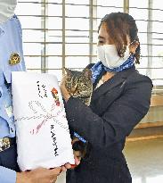 Award for cat that saved man