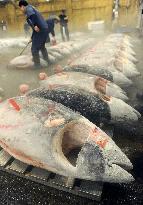 Bluefin tuna quota to be cut