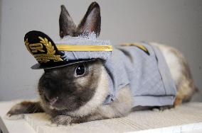 Rabbit stationmaster Rabitama in Saitama