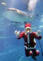 Santa Claus takes holiday plunge in aquarium