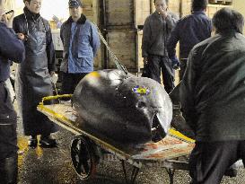 Tuna fetches record 32 mil. yen at Tokyo auction